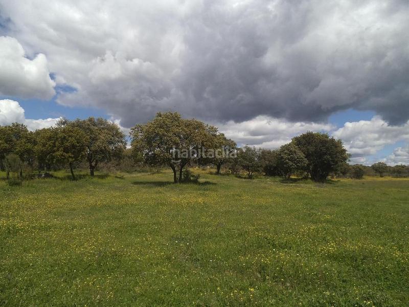 Foto 25181731-6485-4df8-a09c-ea8c0548373a. Terreny residencial a Valdemorillo pueblo Valdemorillo