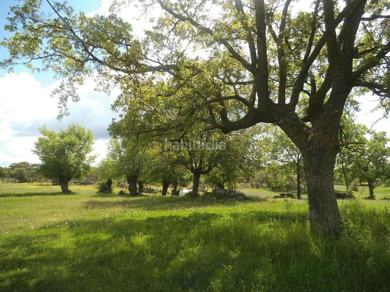 Foto 28163b0b-e6c1-4af8-808a-0d26e4e19ad3. Terreny residencial a Valdemorillo pueblo Valdemorillo