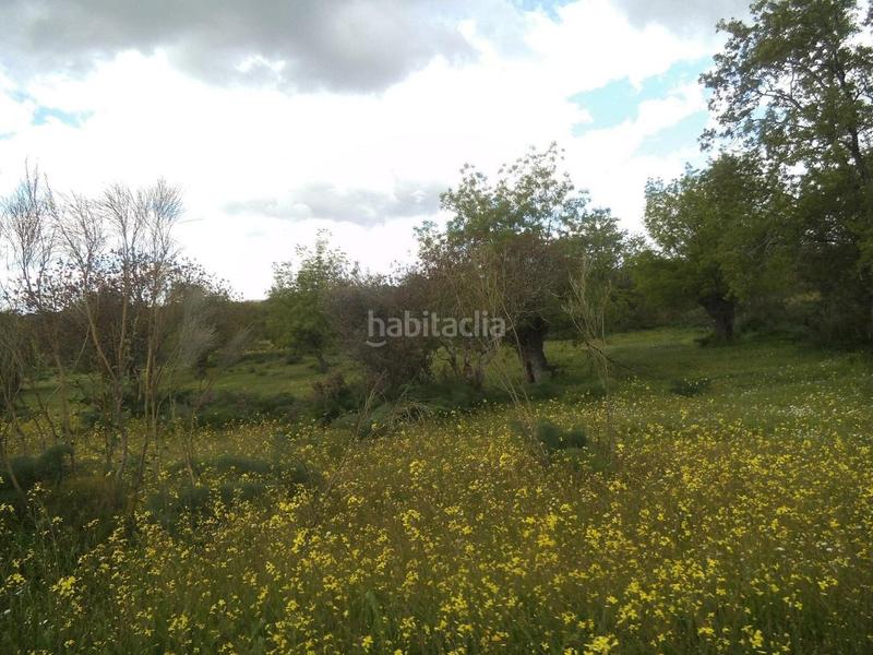 Foto 28e873e5-c5c6-4273-bc1f-c9e9da48fc93. Terreny residencial a Valdemorillo pueblo Valdemorillo