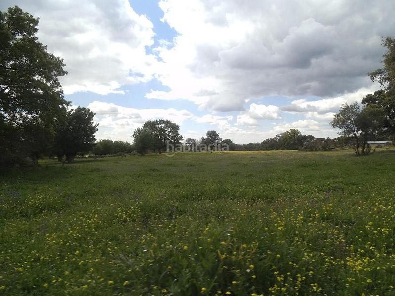 Foto 2bd9ac88-70ed-4583-96ce-15b8b13391ce. Terreny residencial a Valdemorillo pueblo Valdemorillo