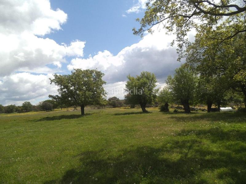 Foto 2cbeb2d2-e2fb-46b6-a527-5a695fd05d20. Terreny residencial a Valdemorillo pueblo Valdemorillo