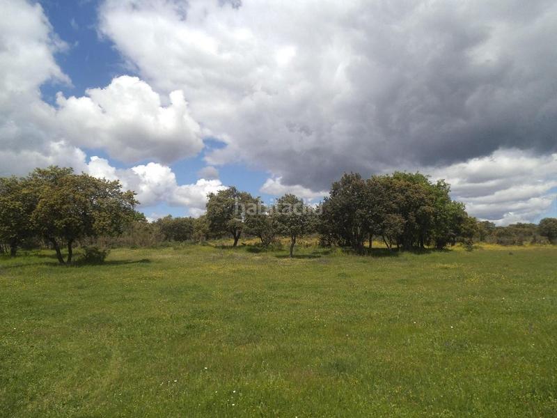 Foto 35d5111c-5f08-4606-935a-25f9cebfa045. Terreny residencial a Valdemorillo pueblo Valdemorillo