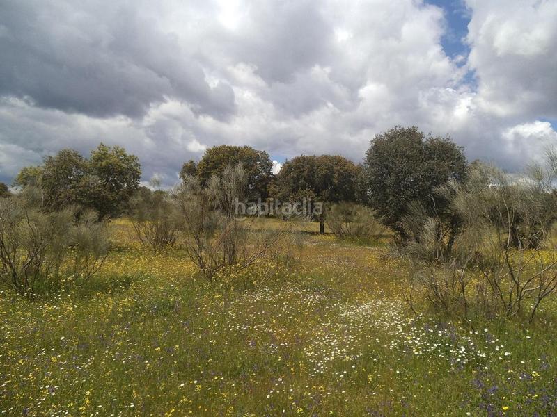 Foto 3cdc3944-7a7b-4e58-98b4-0b527f669f80. Terreny residencial a Valdemorillo pueblo Valdemorillo