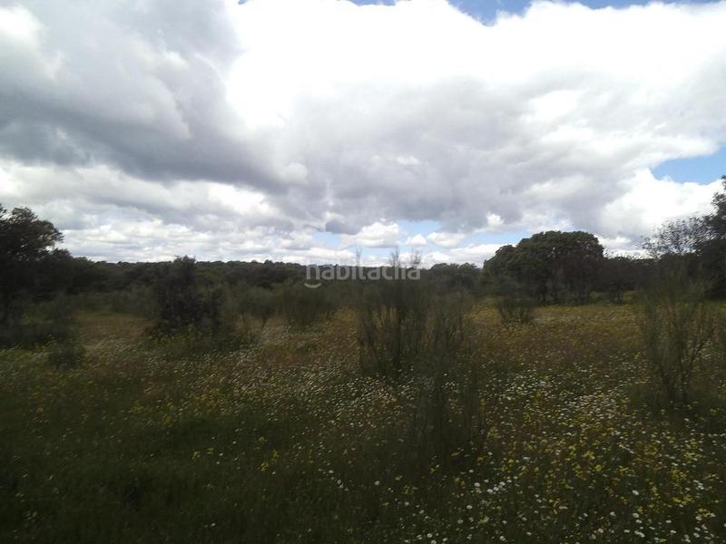 Foto 3e7638b6-fe5a-4758-acf8-80ee914634a2. Terreny residencial a Valdemorillo pueblo Valdemorillo