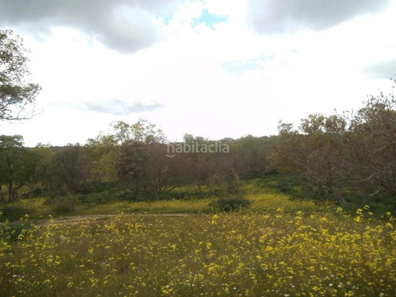 Foto 42f80cb0-aa54-4c8c-aa60-70549d88946e. Terreny residencial a Valdemorillo pueblo Valdemorillo