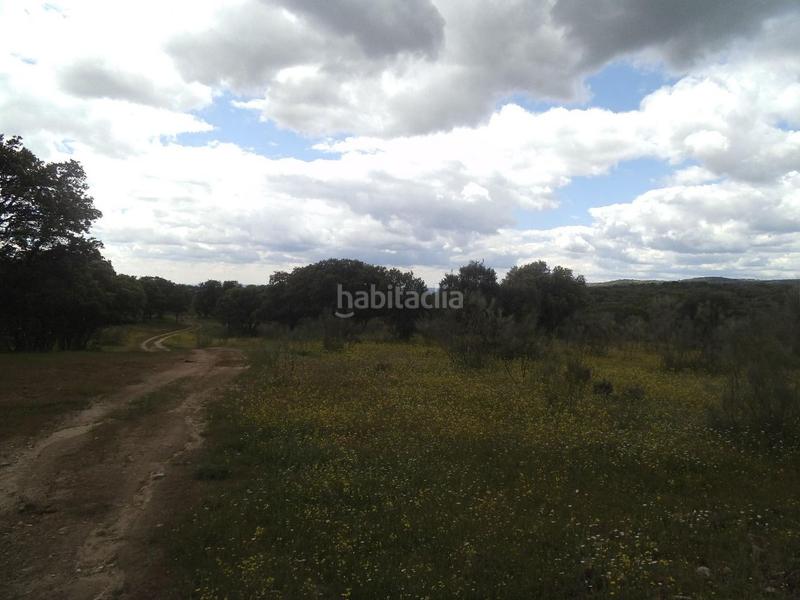 Foto 45be3dd2-50c3-4449-94cf-f35d71cc6d61. Terreny residencial a Valdemorillo pueblo Valdemorillo