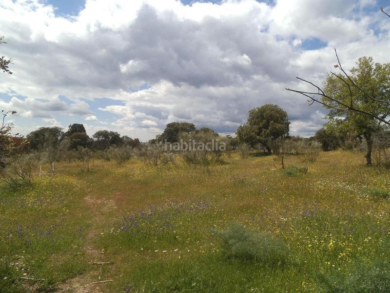 Foto 4795537f-5f73-41e7-8b14-2a493d564959. Terreny residencial a Valdemorillo pueblo Valdemorillo