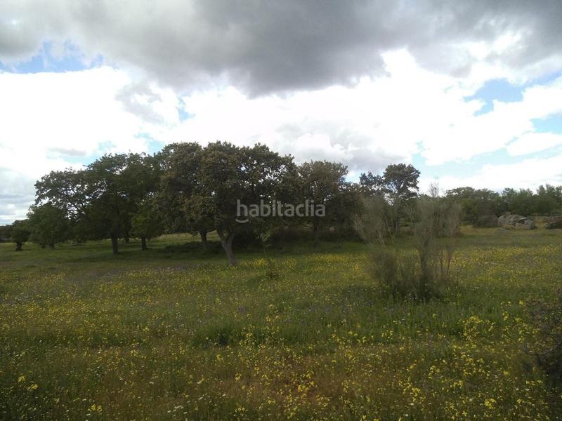 Foto 480bd75f-2fa7-4fb0-813a-30fe6ce90891. Terreny residencial a Valdemorillo pueblo Valdemorillo