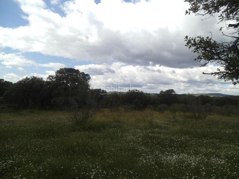 Foto 4b96df4e-e39d-4299-8793-2d6160bd3b72. Terreny residencial a Valdemorillo pueblo Valdemorillo