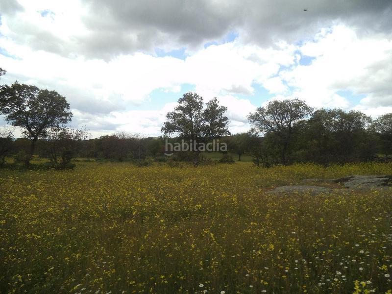 Foto 51bde277-eeca-4873-aa38-73fe65b4d0f4. Terreny residencial a Valdemorillo pueblo Valdemorillo