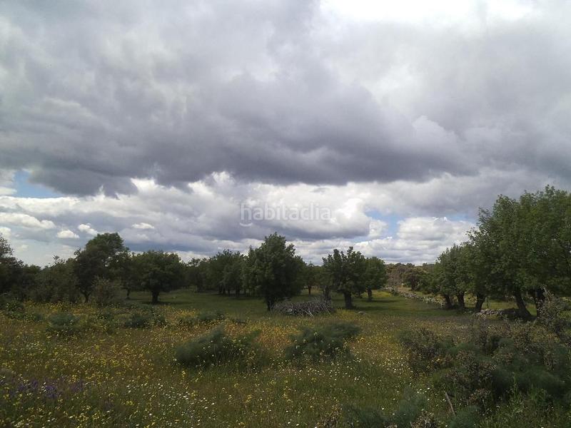 Foto 521ec800-3ddf-4e27-a7bf-97f8225537b6. Terreny residencial a Valdemorillo pueblo Valdemorillo