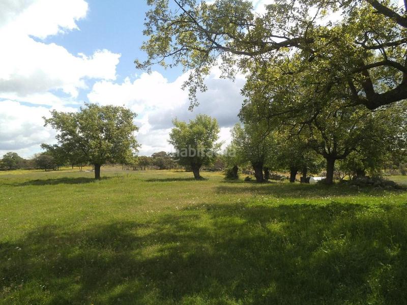 Foto 531a95c6-156b-444e-b2d5-46de083f7d7a. Terreny residencial a Valdemorillo pueblo Valdemorillo