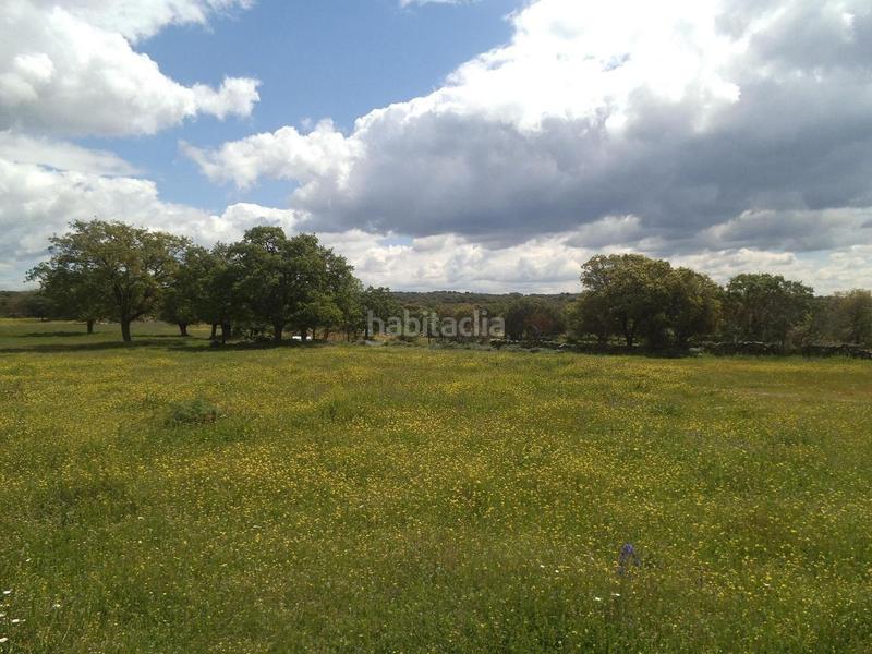 Foto 5666ce31-8db0-4c32-a1b6-14b194d5402d. Terreny residencial a Valdemorillo pueblo Valdemorillo
