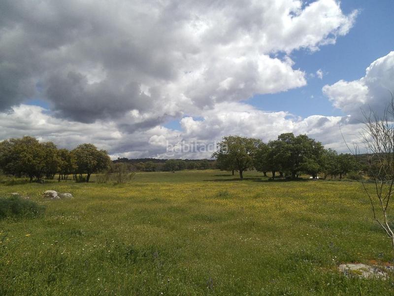 Foto 5aee1e2e-7690-4db2-863a-4ef8c601efcd. Terreny residencial a Valdemorillo pueblo Valdemorillo