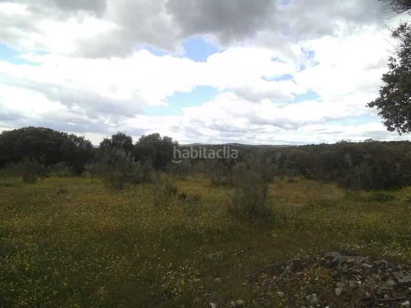 Foto 5b96727a-96d0-4a55-b1bb-cf41dceac70d. Terreny residencial a Valdemorillo pueblo Valdemorillo