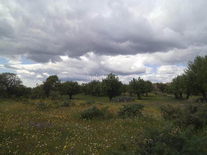 Foto 61a57e4a-23d5-4c28-ae1f-962d91452c58. Terreny residencial a Valdemorillo pueblo Valdemorillo