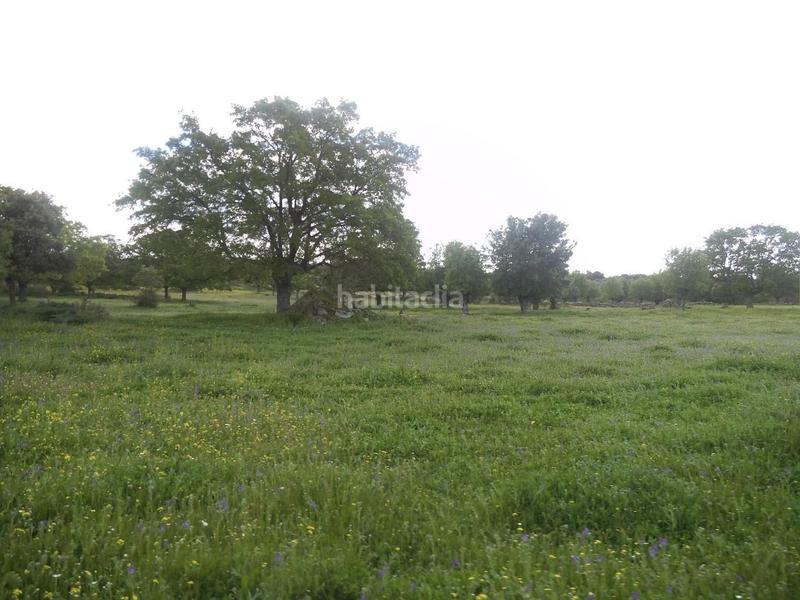 Foto 62c45016-0c82-40c8-955f-eac97f61a452. Terreny residencial a Valdemorillo pueblo Valdemorillo