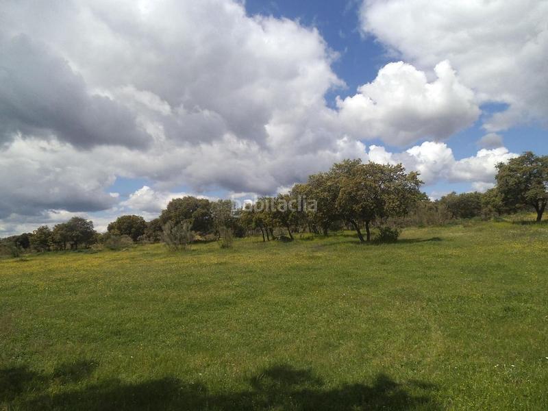 Foto 6b8707f8-6384-40b0-a608-d6ba76b4b957. Terreny residencial a Valdemorillo pueblo Valdemorillo