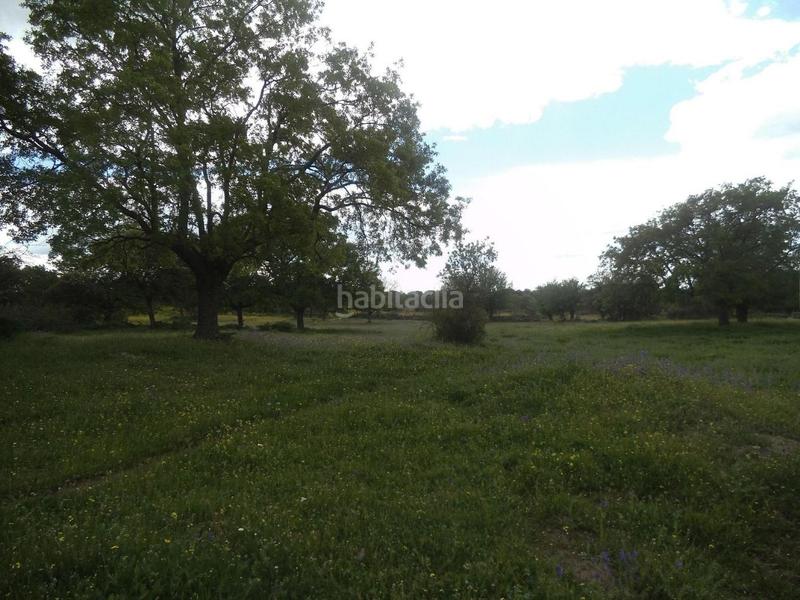 Foto 6ed25b78-0571-4922-9c50-13c19ff1e33e. Terreny residencial a Valdemorillo pueblo Valdemorillo