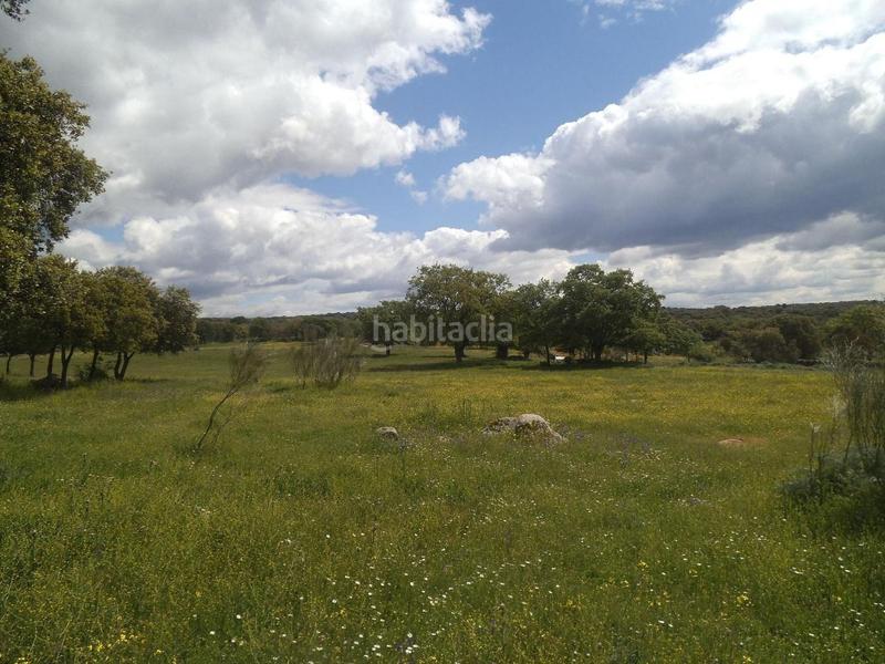Foto 6fa95799-03e2-40e5-bffc-ec5f017b25e5. Terreny residencial a Valdemorillo pueblo Valdemorillo