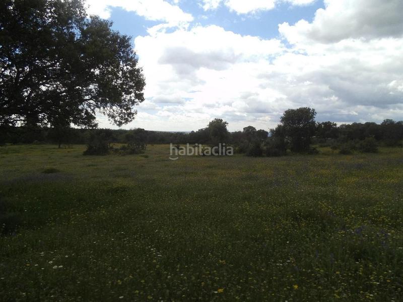 Foto 726e3957-0df2-4916-8e4c-ffc0d8714d55. Terreny residencial a Valdemorillo pueblo Valdemorillo