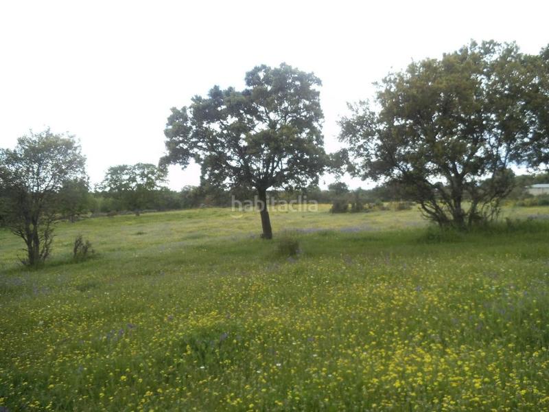 Foto 74732700-cdf4-4502-a67e-e82d5d1a1160. Terreny residencial a Valdemorillo pueblo Valdemorillo