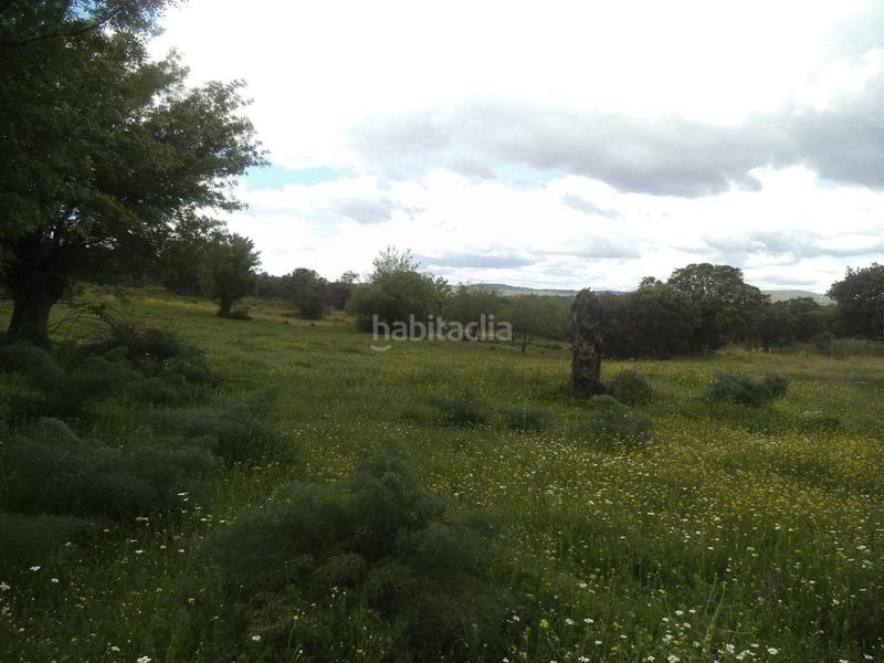Foto 7fda846d-e354-4ea6-96e8-1c5be86d7be6. Terreny residencial a Valdemorillo pueblo Valdemorillo