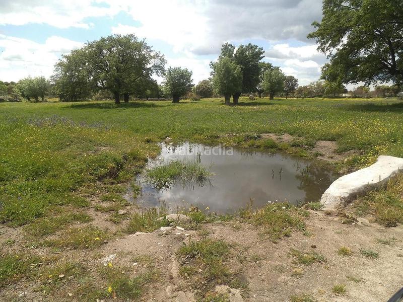 Foto 85bdaeaf-021c-4849-857d-447e697b6b91. Terreny residencial a Valdemorillo pueblo Valdemorillo