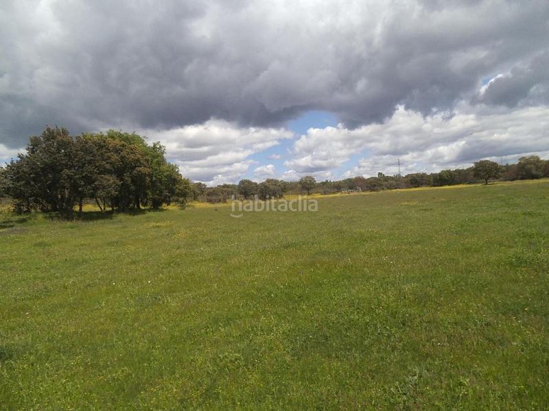 Foto 891dff17-04ee-400e-a8f7-04a2df66e950. Terreny residencial a Valdemorillo pueblo Valdemorillo