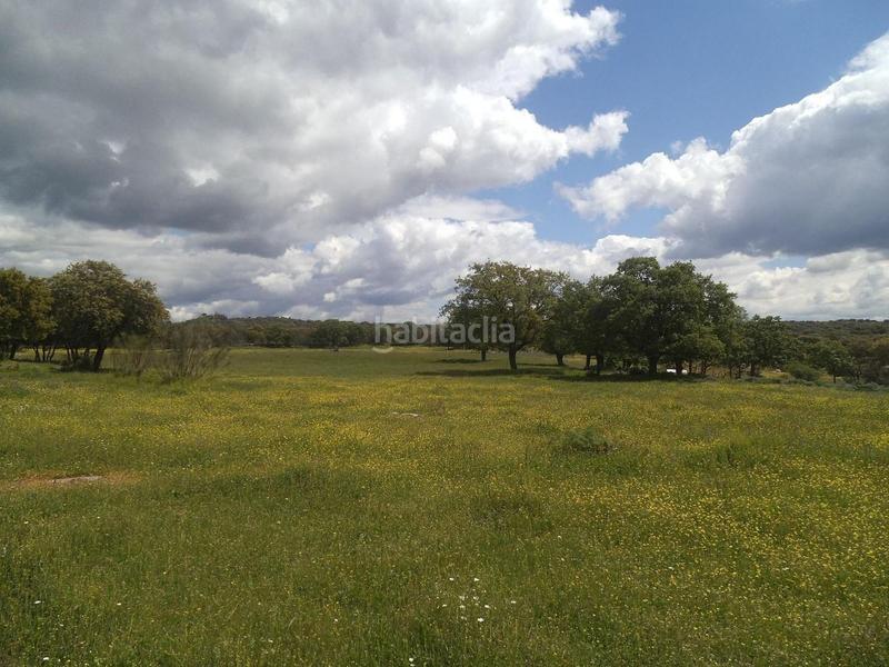 Foto a4d5d209-4239-4a02-be4c-a848a4743da7. Terreny residencial a Valdemorillo pueblo Valdemorillo