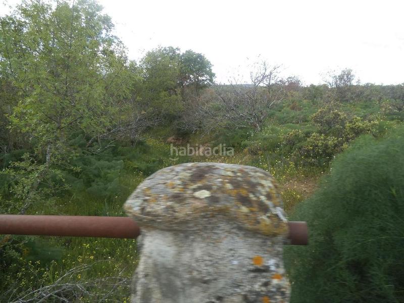 Foto a5623786-4a5a-4dc5-9e5a-41f098cc5df2. Terreny residencial a Valdemorillo pueblo Valdemorillo