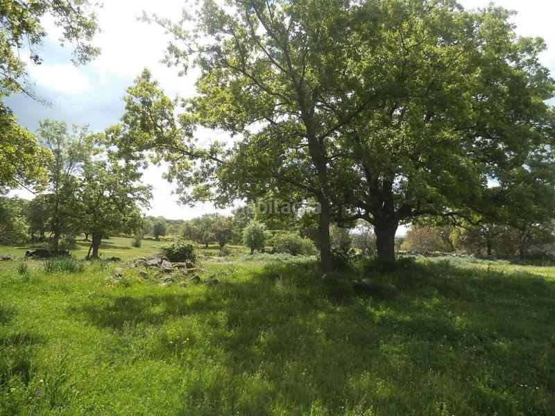 Foto aa052dd7-159d-4581-8e6d-8e0389d495f6. Terreny residencial a Valdemorillo pueblo Valdemorillo