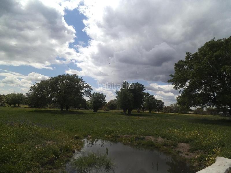 Foto abca9475-4346-4c69-89ca-70aa276e20a1. Terreny residencial a Valdemorillo pueblo Valdemorillo