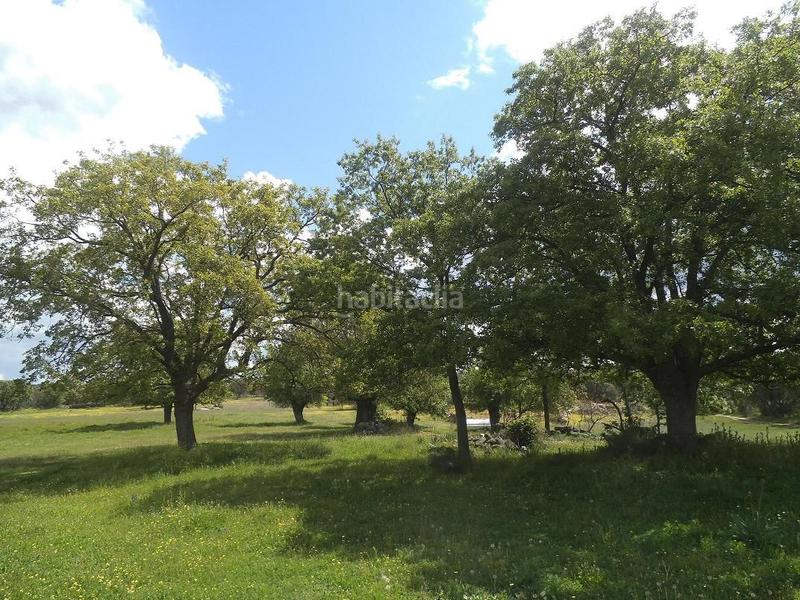 Foto b40c0dad-0c70-4d4e-a553-ee76c26c1ce0. Terreny residencial a Valdemorillo pueblo Valdemorillo