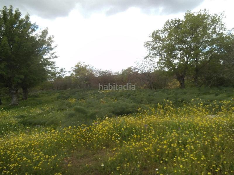 Foto b54f6597-e506-4854-a2cf-201617cfe74f. Terreny residencial a Valdemorillo pueblo Valdemorillo