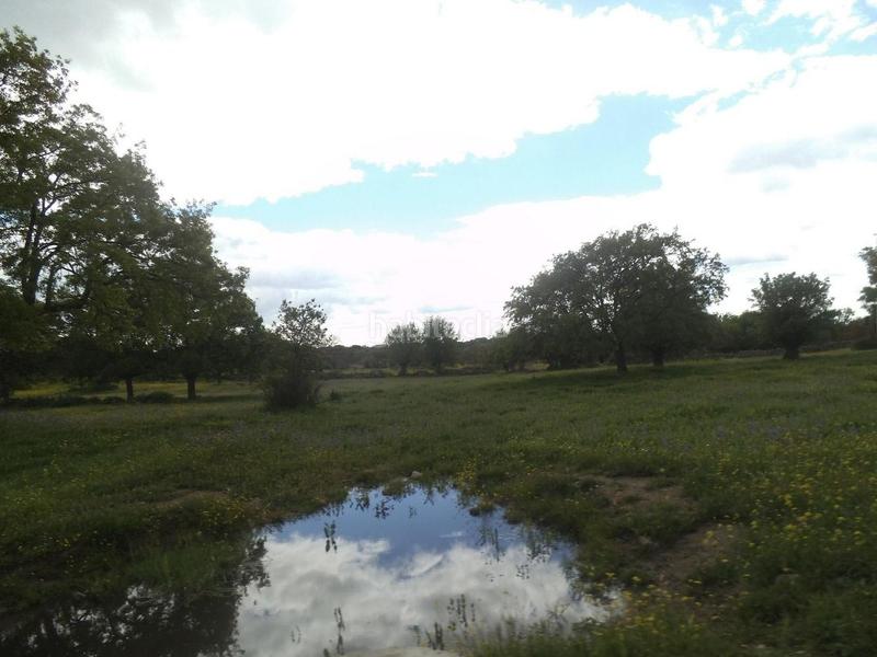 Foto b73943ee-5675-4833-9240-257f382e43d0. Terreny residencial a Valdemorillo pueblo Valdemorillo