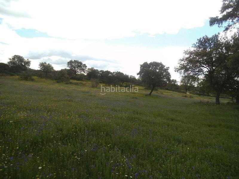 Foto c0d92fe9-e323-4833-8722-52acfc34cff0. Terreny residencial a Valdemorillo pueblo Valdemorillo