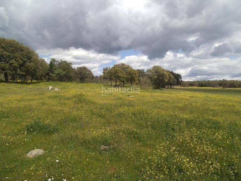 Foto c1e1ddaf-2bec-4bc7-a6fc-a7ff255e1382. Terreny residencial a Valdemorillo pueblo Valdemorillo