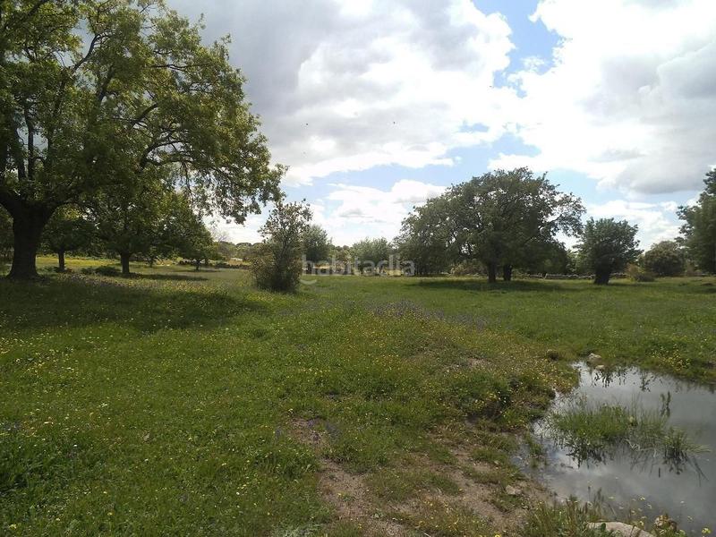 Foto cae96b1b-7ef7-4a45-adb3-73cfaad51693. Terreny residencial a Valdemorillo pueblo Valdemorillo