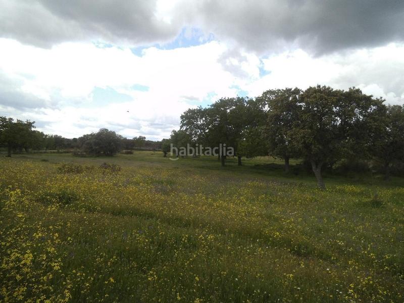 Foto cbea05d7-48fe-4bb4-8f36-03b13cbf3ce6. Terreny residencial a Valdemorillo pueblo Valdemorillo