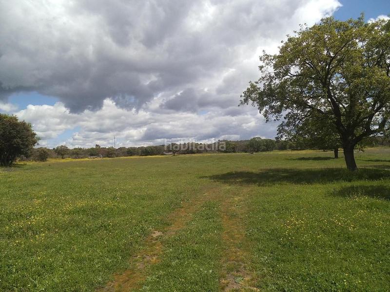 Foto cd1e63d9-90ba-44c7-9f42-9114a4b98e0e. Terreny residencial a Valdemorillo pueblo Valdemorillo