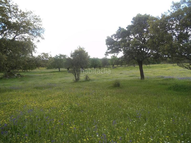 Foto ce075578-e7b8-44b7-8d29-44b0a1eb96c7. Terreny residencial a Valdemorillo pueblo Valdemorillo