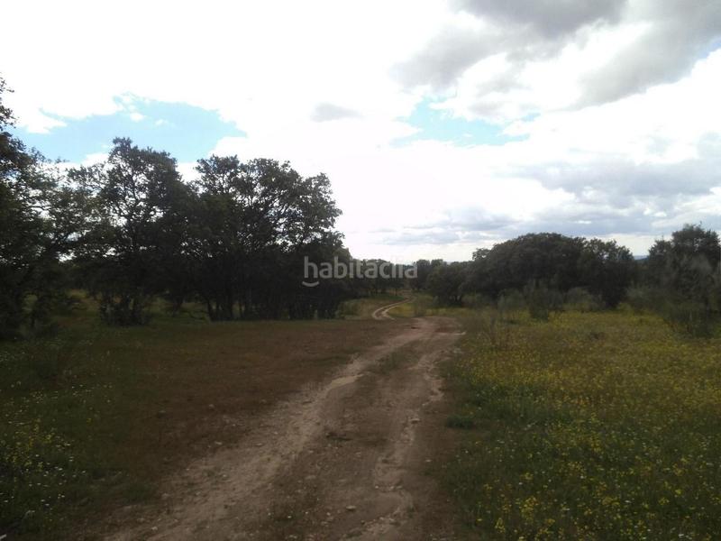 Foto d065d7e8-62b3-4e23-a5dd-c1c04833af6f. Terreny residencial a Valdemorillo pueblo Valdemorillo