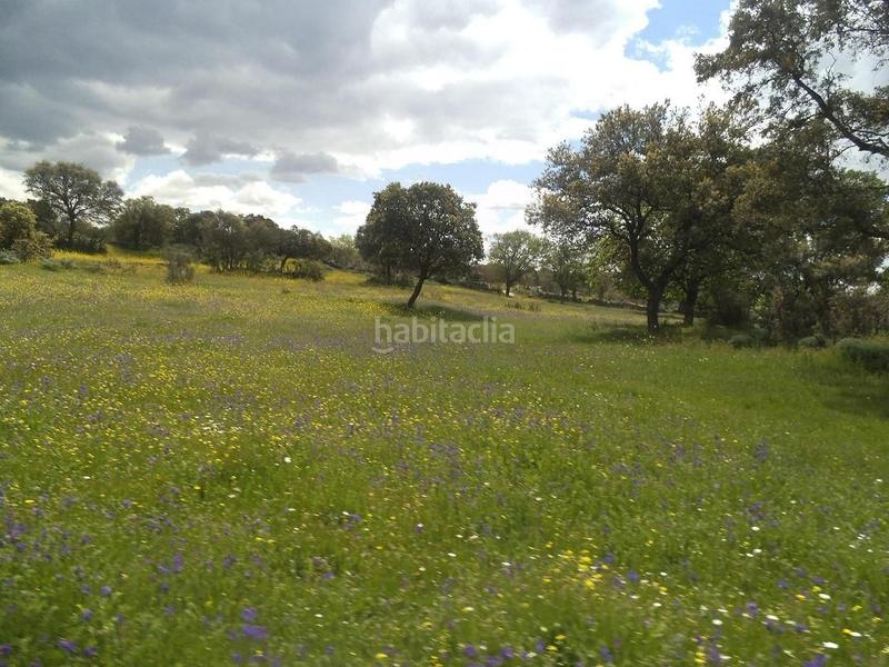 Foto d328d8cb-95e4-42b7-bce0-4d464fc0b22b. Terreny residencial a Valdemorillo pueblo Valdemorillo
