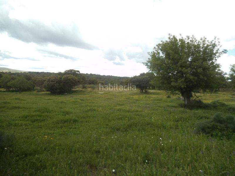 Foto dc4070b5-3608-443c-9d81-a3fc1ea229d0. Terreny residencial a Valdemorillo pueblo Valdemorillo
