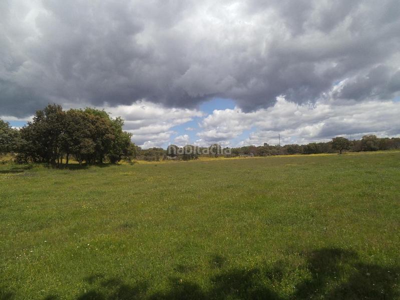 Foto dfc292cb-da59-4b03-b300-fa73f3d9875d. Terreny residencial a Valdemorillo pueblo Valdemorillo