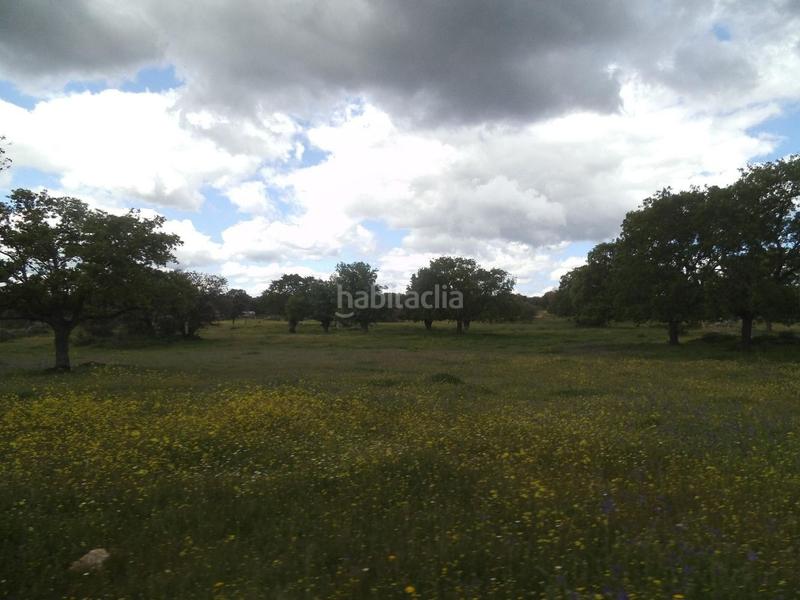 Foto dffe9f08-1f0f-4e0b-8cec-7add44c96c4c. Terreny residencial a Valdemorillo pueblo Valdemorillo