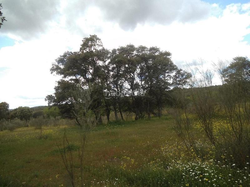 Foto e3daa56f-caf1-4595-b61c-0af6e5a49bb9. Terreny residencial a Valdemorillo pueblo Valdemorillo