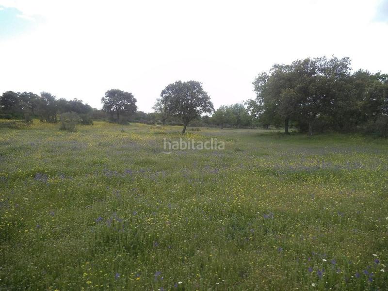 Foto e4f22ae4-23ac-48bd-bf4b-e12ac2d36ef3. Terreny residencial a Valdemorillo pueblo Valdemorillo