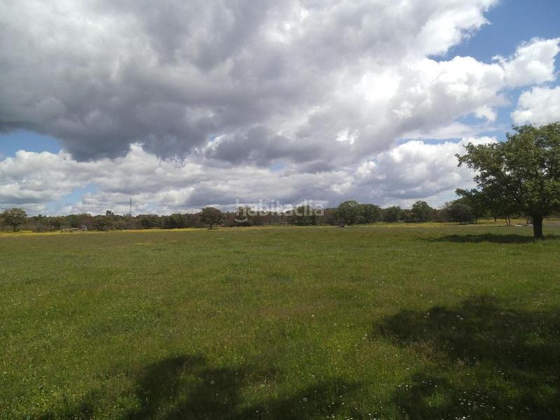 Foto e8018647-cc88-4cc1-9cb4-6ef051b76b9f. Terreny residencial a Valdemorillo pueblo Valdemorillo